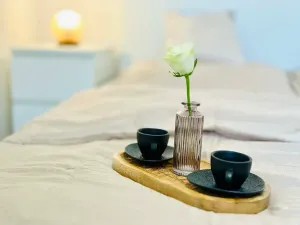 Pronájem bytu 2+kk, Jihlava, Havlíčkova, 51 m2