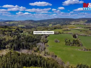 Prodej lesa, Železný Brod, 11203 m2