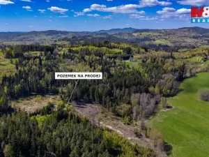 Prodej lesa, Železný Brod, 11203 m2