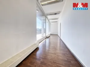 Prodej obchodního prostoru, Písek - Pražské Předměstí, Čechova, 53 m2