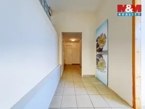 Prodej obchodního prostoru, Písek - Pražské Předměstí, Čechova, 53 m2