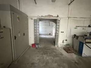 Prodej výrobních prostor, Okrouhlice, 551 m2
