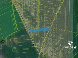 Prodej podílu pole, Víceměřice, 352 m2