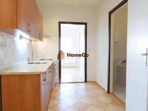 Pronájem bytu 1+1, Praha - Nusle, U gymnázia, 52 m2