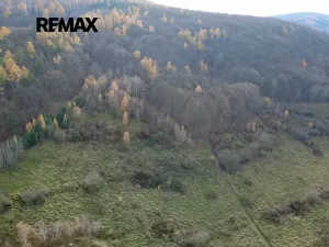 Prodej pozemku, Všenory, 96565 m2