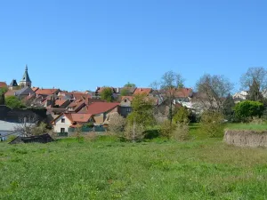 Prodej pozemku pro bydlení, Kouřim, 2449 m2