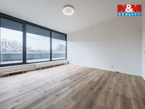 Pronájem obchodního prostoru, Praha - Petrovice, Ohmova, 43 m2