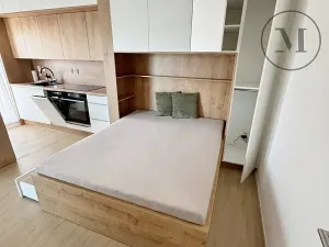 Pronájem bytu 1+kk, České Budějovice, Nádražní, 22 m2