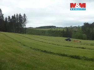 Prodej louky, Vysoká Srbská, 26000 m2