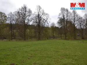 Prodej louky, Náchod - Běloves, 20495 m2