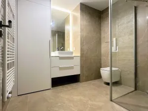 Prodej bytu 2+kk, Ostrava - Moravská Ostrava, F. X. Riepla, 65 m2