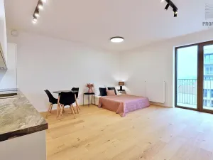 Pronájem bytu 1+kk, Brno, Bratislavská, 44 m2