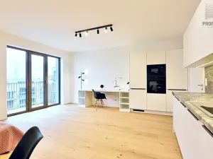 Pronájem bytu 1+kk, Brno, Bratislavská, 44 m2