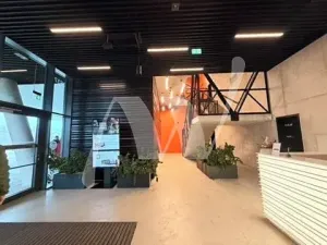 Pronájem kanceláře, Praha - Holešovice, Pod dráhou, 700 m2