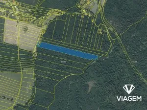 Prodej lesa, Opava, 15606 m2