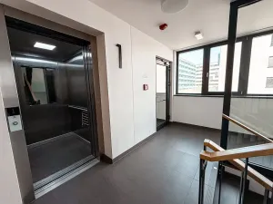 Pronájem bytu 2+kk, Praha - Holešovice, U průhonu, 51 m2