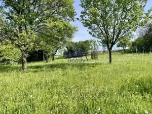 Prodej zahrady, Bzenec, 4488 m2
