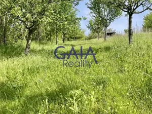 Prodej zahrady, Bzenec, 4488 m2