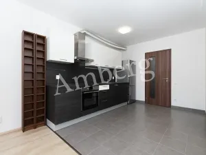 Prodej bytu 2+kk, Praha - Žižkov, Na Vackově, 53 m2