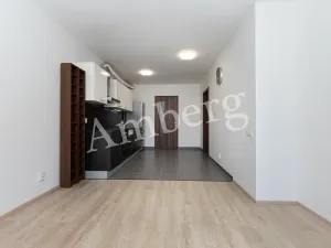 Prodej bytu 2+kk, Praha - Žižkov, Na Vackově, 53 m2