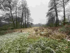 Prodej pozemku, Jindřichův Hradec - Horní Žďár, 2499 m2