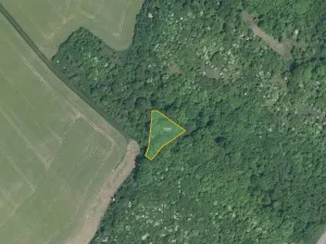 Prodej louky, Nedachlebice, 16411 m2
