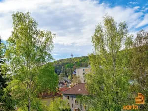 Prodej bytu 2+1, Ústí nad Labem, Jožky Jabůrkové, 51 m2