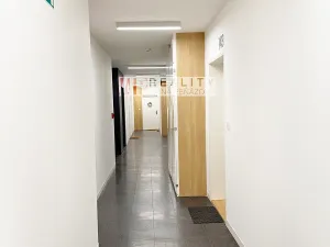 Prodej bytu 2+kk, Brno, U Červeného mlýna, 51 m2