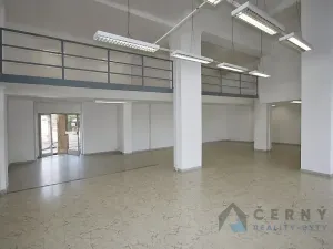 Prodej obchodního prostoru, Liberec, Liliová, 266 m2