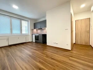 Prodej bytu 1+kk, Lovosice, Sady pionýrů, 25 m2