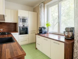 Prodej bytu 2+1, Lovosice, Sady pionýrů, 54 m2