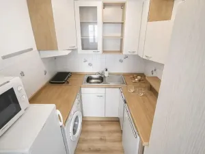 Pronájem bytu 2+kk, Mělník, Sportovní, 42 m2