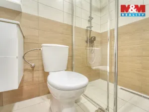 Prodej činžovního domu, Chotěšov, Starý mlýn, 353 m2