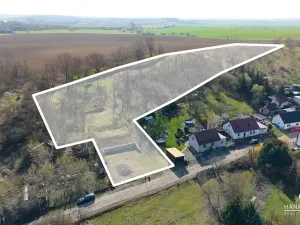 Prodej pozemku pro bydlení, Kopidlno, Na Vinici, 8371 m2
