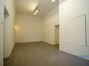 Pronájem skladu, Brandýs nad Labem-Stará Boleslav, Pražská, 28 m2