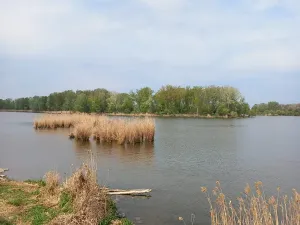 Prodej pozemku pro bydlení, Dolní Věstonice, 1941 m2