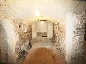 Pronájem obchodního prostoru, České Budějovice - České Budějovice 1, Dr. Stejskala, 73 m2