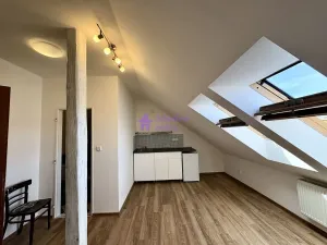 Pronájem bytu 1+kk, Olomouc - Hodolany, Zeyerova, 19 m2