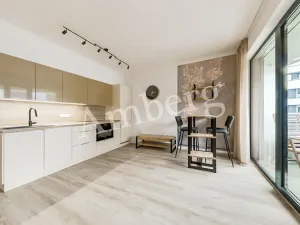 Pronájem bytu 1+kk, Praha - Karlín, U Sluncové, 33 m2