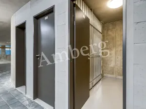 Pronájem bytu 1+kk, Praha - Karlín, U Sluncové, 33 m2