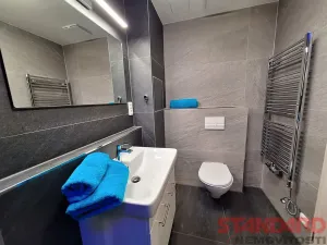 Pronájem bytu 2+1, Přeštice, Řičákova, 59 m2