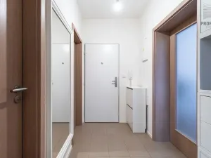 Prodej bytu 1+1, Brno, Turgeněvova, 49 m2