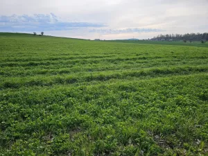 Prodej pole, Bystřice - Jírovice, 42871 m2