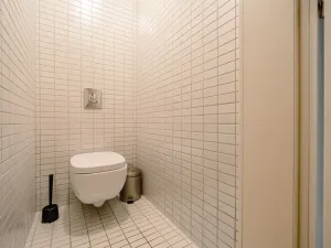 Pronájem bytu 3+kk, Praha - Žižkov, Prokopova, 154 m2