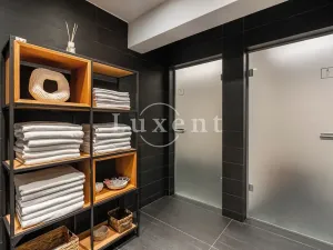 Pronájem bytu 2+kk, Praha, Holečkova, 74 m2