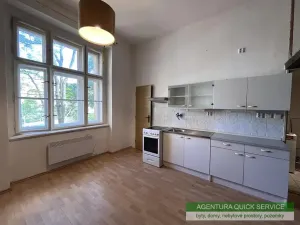 Pronájem bytu 1+kk, Praha - Žižkov, Kubelíkova, 29 m2