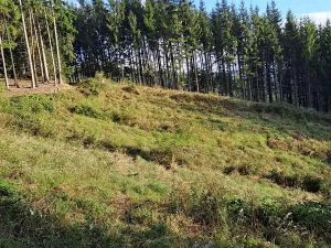 Prodej lesa, Zlín, Modřínová, 152613 m2