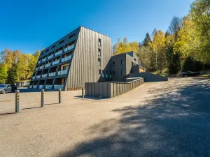 Prodej bytu 1+kk, Janov nad Nisou, 27 m2
