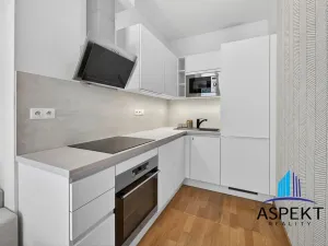 Pronájem bytu 2+kk, Praha - Holešovice, Dělnická, 52 m2