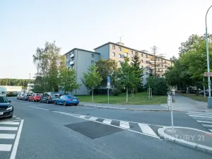 Pronájem bytu 2+1, Praha - Žižkov, Pod lipami, 52 m2